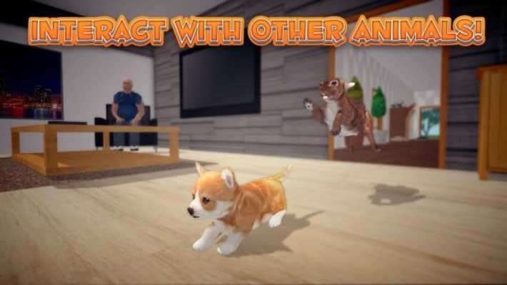 Play Bunny simulator v1.0.1 [Msi8] 